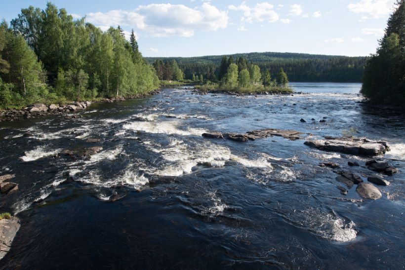 driving school Elverum