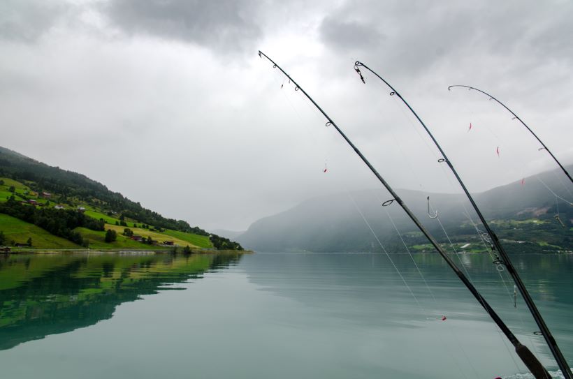 driving school Førde