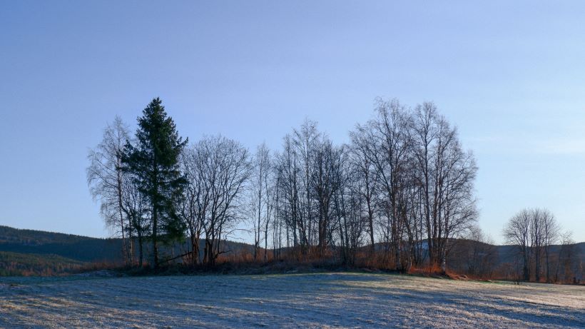 driving school Hurdal